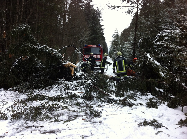 bild (25)